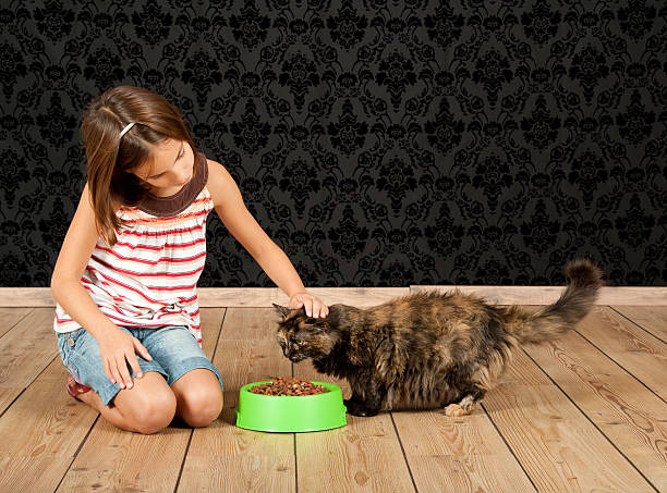 istock girl feeding a cat 177542909