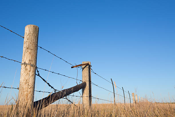 istock Barbed wire fence on prairie field with blue sky 177544043