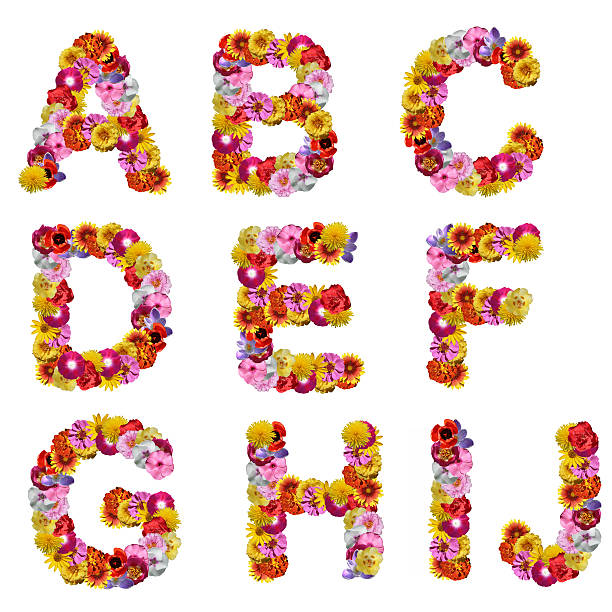 alphabet of flowers isolated on a white background