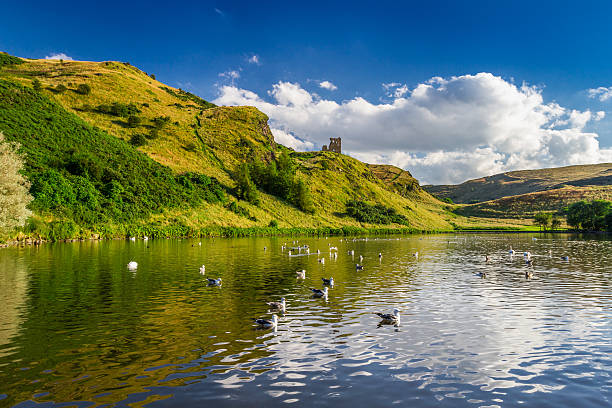istock View of the mountains reflected in a lake with birds 177544584