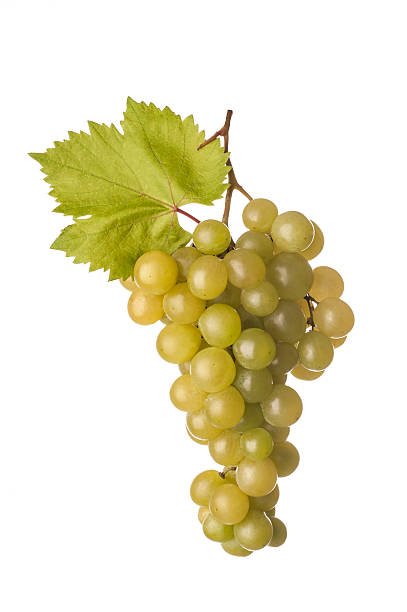 istock bunch of grapes with a bottle and glass 177544812