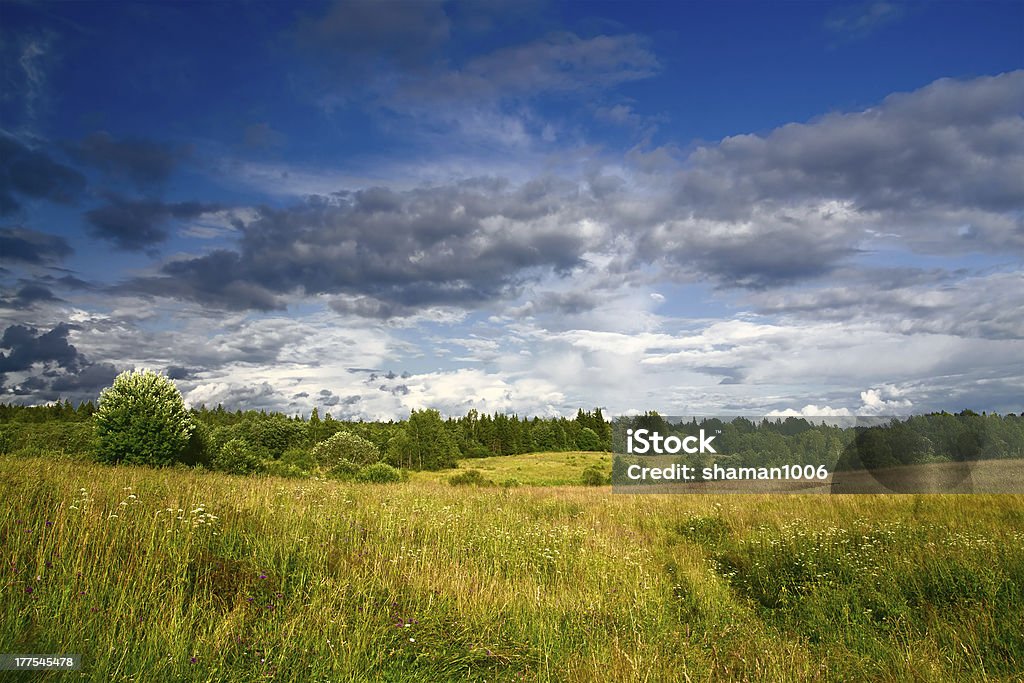 Verde prato sotto il cielo minaccioso paesaggio - Foto stock royalty-free di Albero