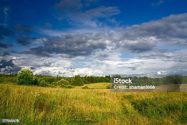緑の牧草地でドラマチックな空の景色 - タンポポのストックフォトや画像を多数ご用意 - タンポポ, ドラマチックな空模様, 人物なし