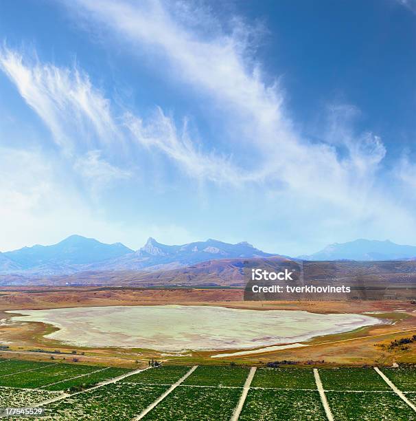 Lake Barakol Stock Photo - Download Image Now - Agricultural Field, Beauty In Nature, Blue