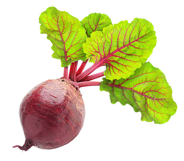 istock Beetroot plant with four green leaves 177545726