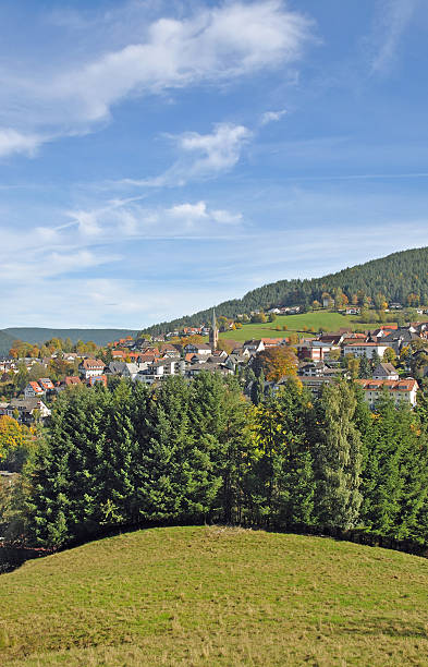 istock Baiersbronn,Black Forest,Germany 177546001