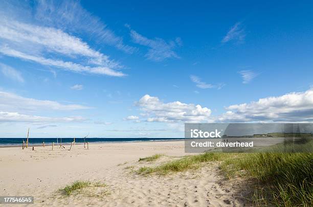 Photo libre de droit de Ross Plage De Sands banque d'images et plus d'images libres de droit de Angleterre - Angleterre, Bleu, Bois flotté