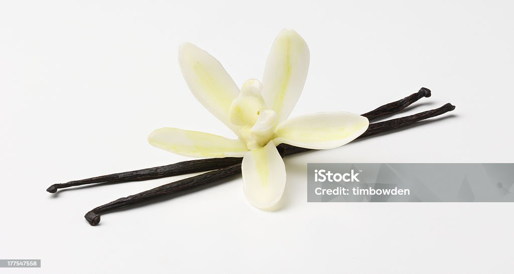 False vanilla flower with pods False vanilla flower with two vanilla pods. Shot on a white background Vanilla Stock Photo