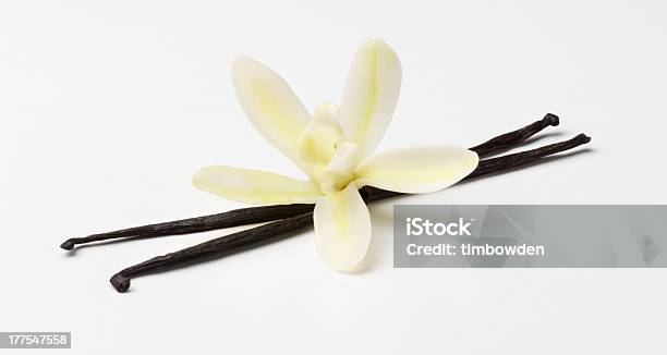 False Vanilla Flower With Pods Stock Photo - Download Image Now - Vanilla, Flower, Cut Out