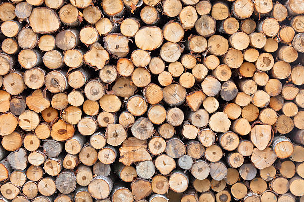 istock Pile of wood 177548781