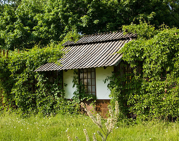 istock Little house with grape leaves 177548922