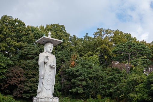 Mireuk Daebul statue of the bodhisattva Maitreya at Bongeunsa Temple, a Buddhist temple in Seoul. With background of autumn leaves. It is the tallest stone statue in Korea.