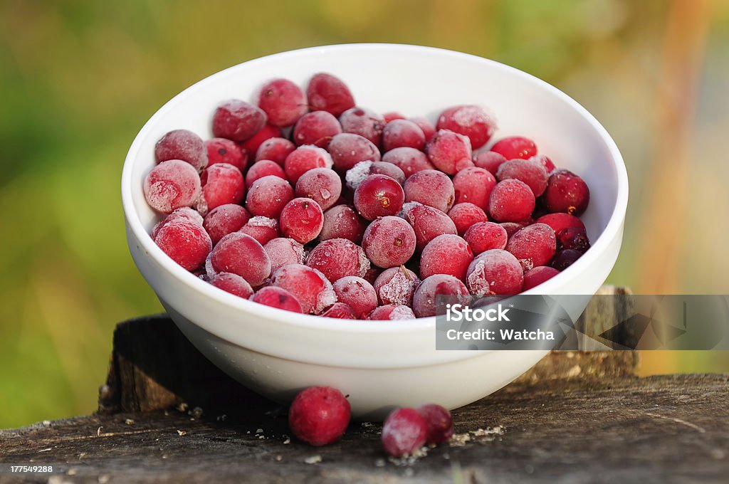 Frozen Cranberries in Bowl on Tree Stump A bowl of large frozen cranberries on a tree stump Agriculture Stock Photo