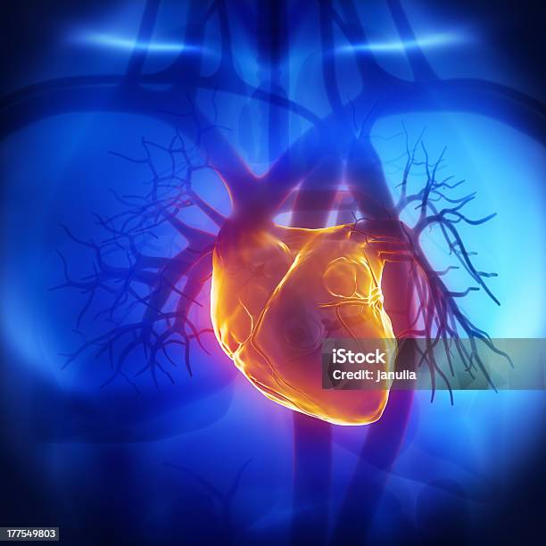 Human Herat Glowing In Chest Stock Photo - Download Image Now - Anatomy, Cardiovascular System, Males