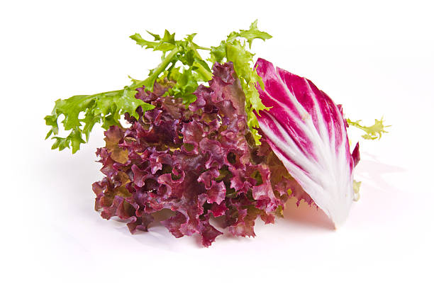 Mixed lettuce leaves stock photo