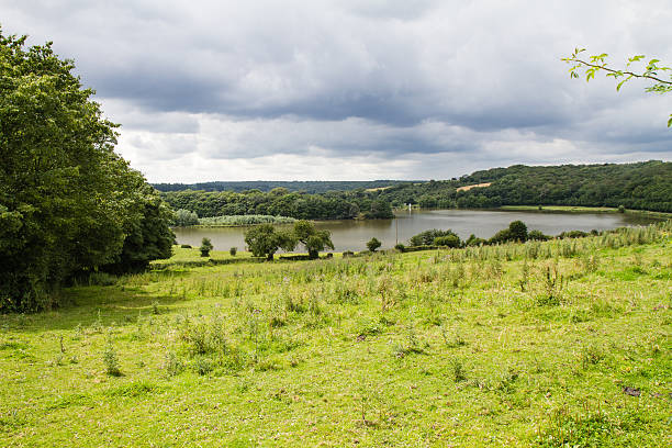 Nublado lago - foto de acervo