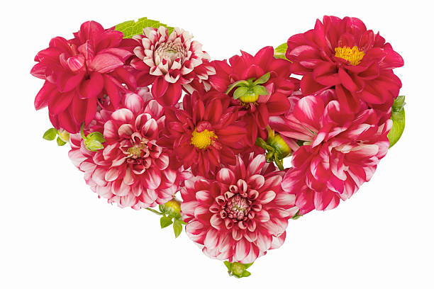 istock Bloody floral heart concept isolated 177550628