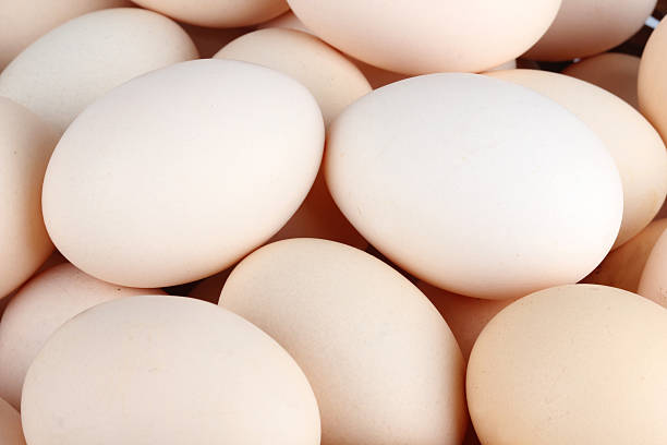 istock Heap of white chicken eggs 177550911