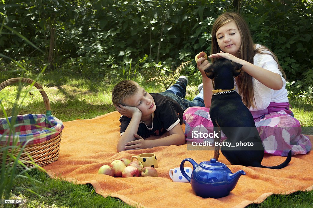 boy, girl and dog on a blanket having picnic children and a dog sitting on a blanket having picnic Apple - Fruit Stock Photo