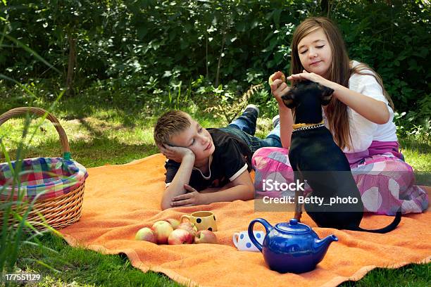 Boy Girl And Dog On A Blanket Having Picnic Stock Photo - Download Image Now - Apple - Fruit, Dog, Adult