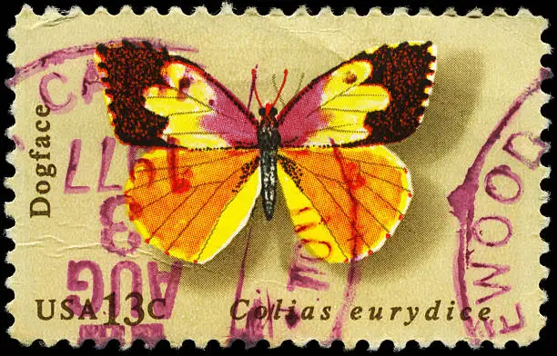 "A Stamp printed in USA shows the Dogface, Butterfly series, circa 1977"