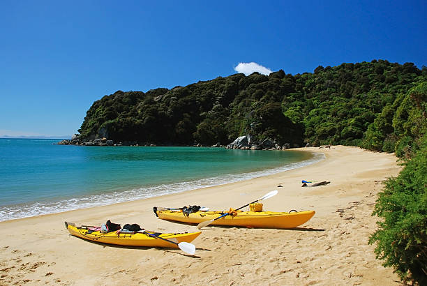 caiaques na praia - abel tasman national park imagens e fotografias de stock