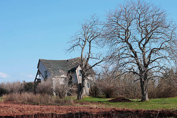 istock Trees and old rural house falling appart in PEI 177551796