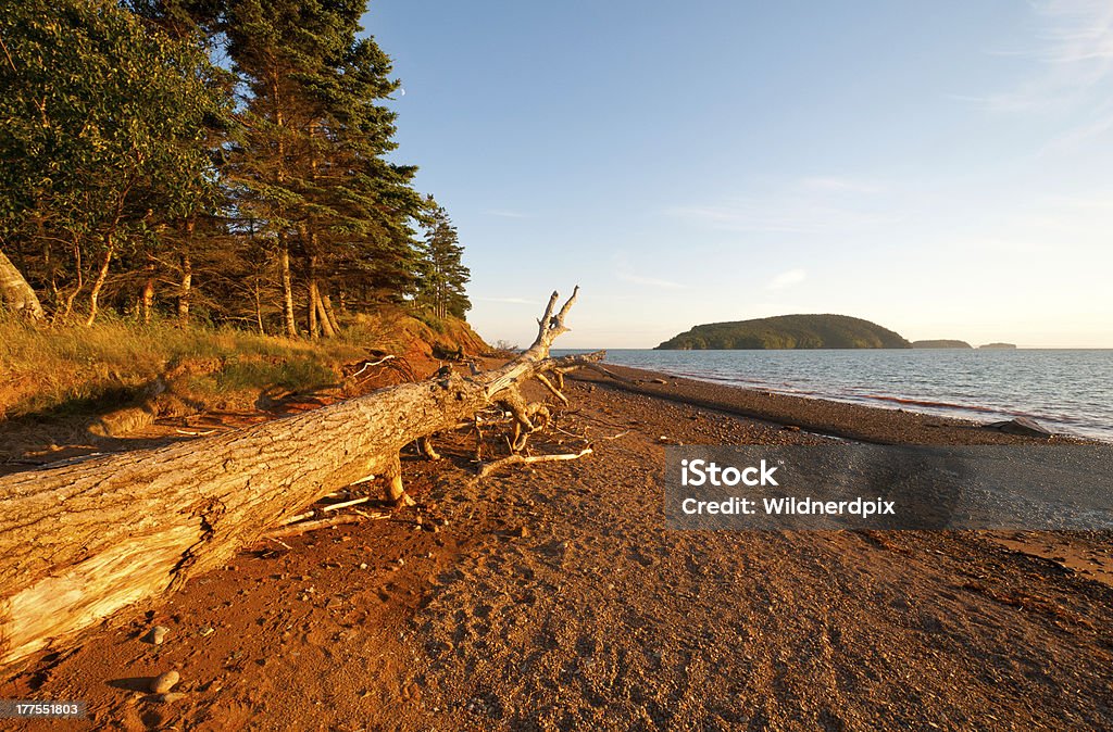 Coastal accedere al tramonto - Foto stock royalty-free di Acqua