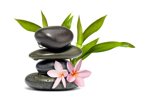 el spa vida con flores y verde leafs - massage stones fotografías e imágenes de stock