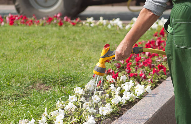 Uniformed gardener watering flowers