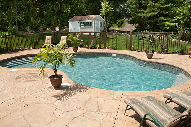 Lush backyard swimming pool and patio space.