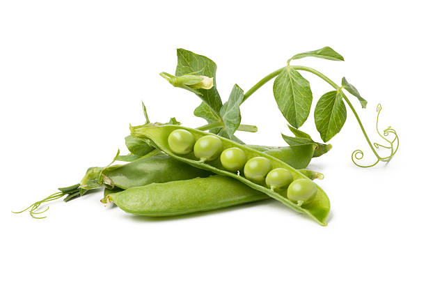 istock pod of peas on white background 177552353