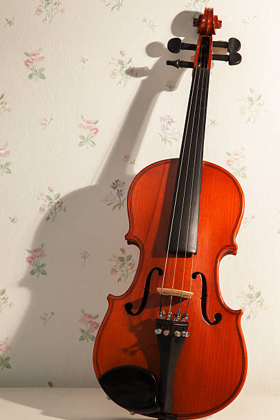 violino di luce e ombra nel salotto - violin equipment classical instrument light and shadow foto e immagini stock