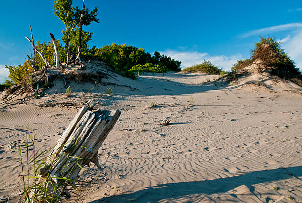 Islands in the sand shifting sands bring life or death in Sandbanks Provincial park sandbanks ontario stock pictures, royalty-free photos & images