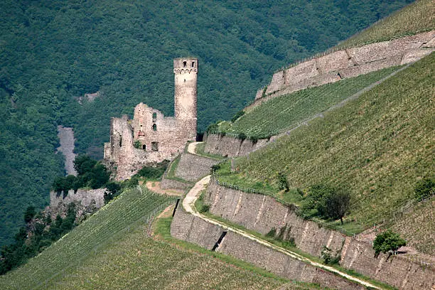 "Ruin of castle Ehrenfels near Ruedesheim in the Rheingau, Hesse, Germany"