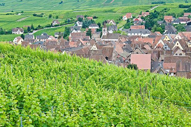 istock French Village, typical Alsace. France 177552926