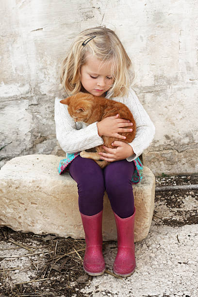 Little girl with cat stock photo