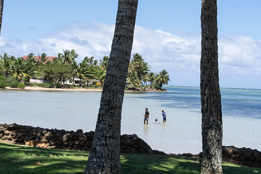 Yanuca Island Fiji - September 6 2023; coastal scene through palm tree trunks with boys in water spearing fish