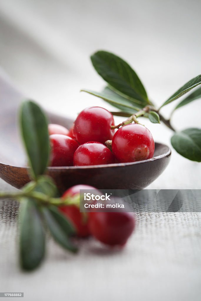 Lingonberries "Fresh lingonberries with some leaves, selective focus" Autumn Stock Photo