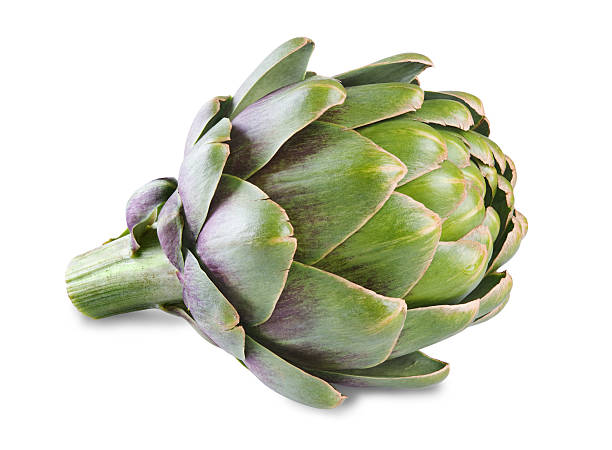 alcachofa - artichoke vegetable isolated food fotografías e imágenes de stock