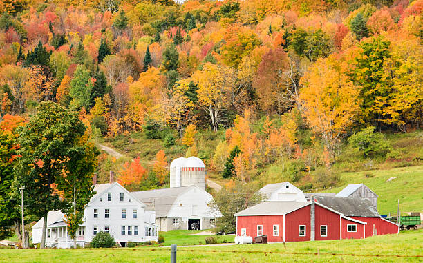 istock Large farmhouse and barns with brilliant fall color backdrop 177555862