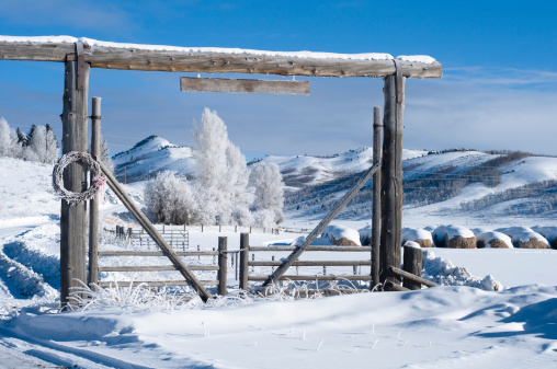 Scenic view of a ranch Gate during winter