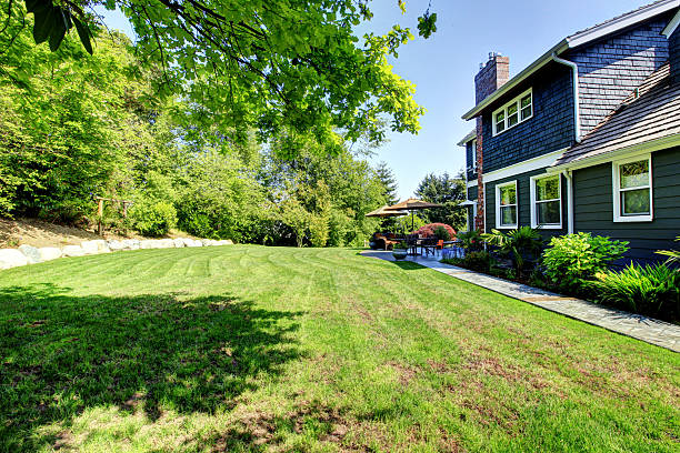 istock Blue large house with backyard and green landscape. 177556277