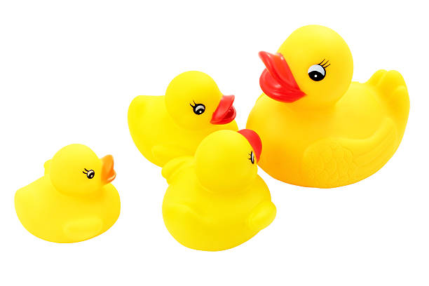 istock Family of ducks 177556812