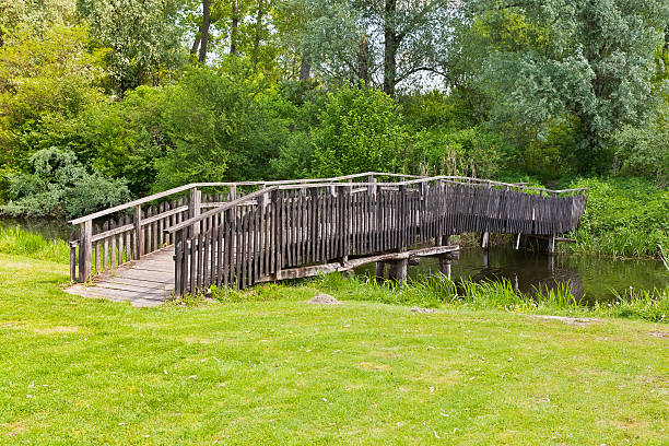 istock Wooden bridge the pond in woods 177557443