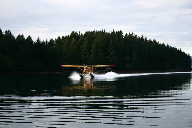 beaver airplane