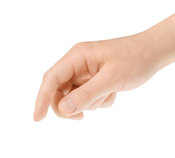 istock Hand slightly curled in front of white background 177558245