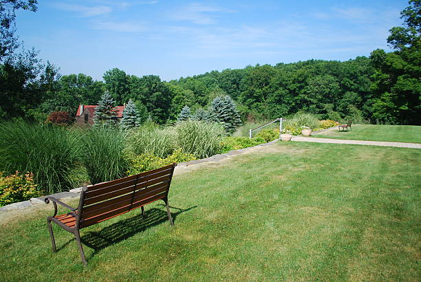 Cтоковое фото Выращиваемый пустой banches с видом на курорт
