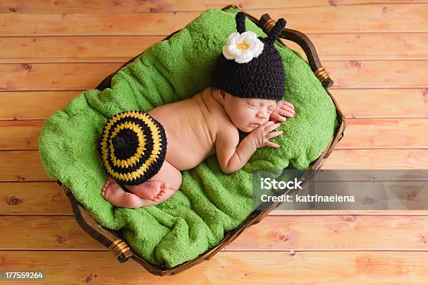 Three Week Old Newborn Baby Girl Wearing A Bumblebee Costume Stock Photo - Download Image Now