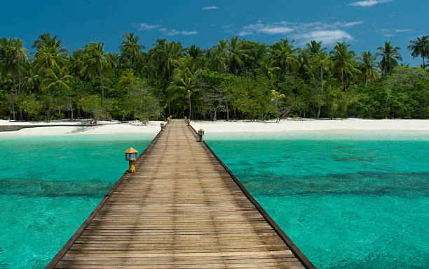 istock Jetty to a beautiful untouched beach 177560554